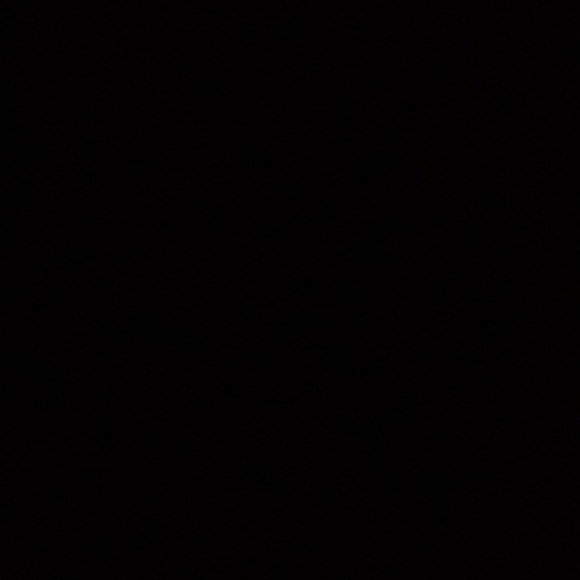 Meet your Posher, Graci - Picture 1 of 1